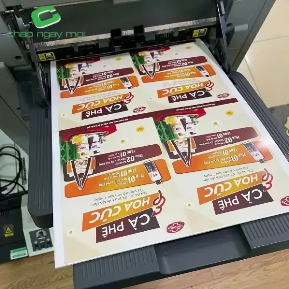 In nhanh có bền màu không?
