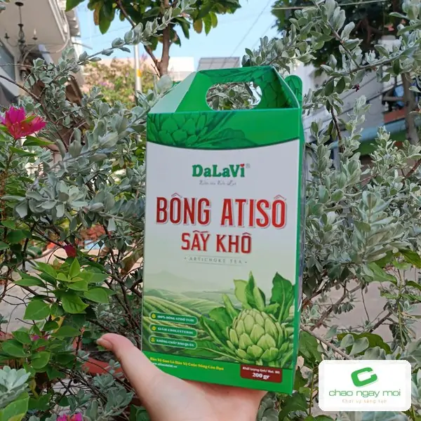 Hộp đựng DaLaVi in m&agrave;u ho&agrave;n thiện