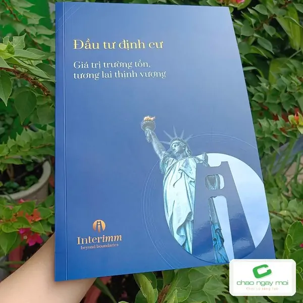 Brochure Interimm in màu cầm trên tay